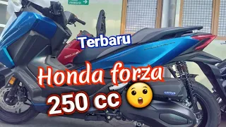 new honda forza 250cc 2023