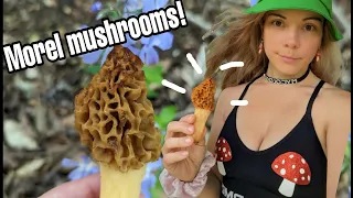 Spring Mushroom Hunting and Vanlife Progress