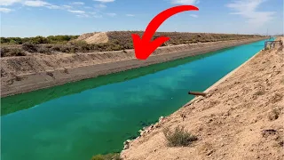 Insane Desert Canal is LOADED w/ Fish! (Unexpected)