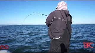 Grouper and Snapper Free Lining Techniques inside Tampa Bay