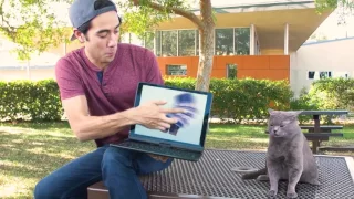 zach king magic the best video 2017 #7 Зак Кинг  лучшие фокусы №7