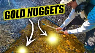 Uncovering Gold Nuggets At An Abandoned Mining Site! Metal Detecting Expedition & How To!