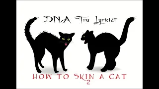 DNA Tru Lyricist - How to Skin a Cat (part 2)