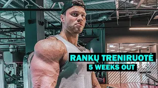 5 sav. iki varžybų | Rankų treniruotė / Arm day | Lukas Smagurauskas