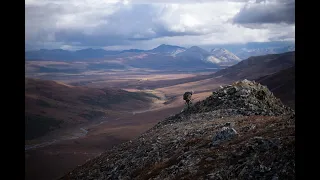 Arctic Circle Grizzly / Moose / Caribou Hunt