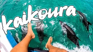 TOP 5 things to do in Kaikoura (New Zealand Hidden Gem)