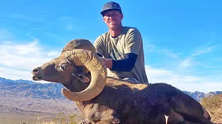 Once In A Lifetime Nevada Desert Bighorn Sheep Hunt!