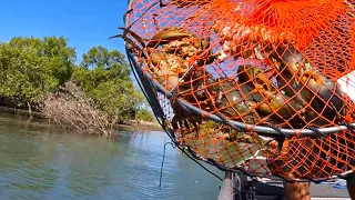 CHECKING MUD CRAB POTS | Giant Mud Crabs Australia