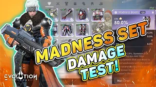 Damage Test on Madness Set New Equipment | Eternal Evolution