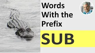 Words With the Prefix SUB (6 Illustrated Examples)