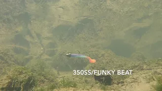 Underwater Swimbait Footage: 350SS