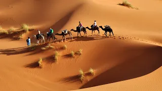 Desert Crossing | Duduk Healing