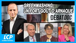 Greenwashing : un fort goût d'arnaque | Les débats de Débatdoc