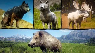 Playing as LEGENDARY ANIMALS in Red Dead Redemption 2 PC →  Legendary: Wolf, Moose, Fox, Boar