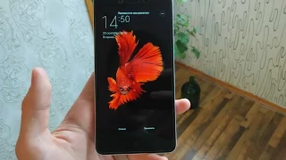 Xiaomi Redmi Note 2: 5 причин НЕ покупать. Слабые места Xiaomi Redmi Note 2