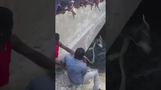 Catching Crocodile In Jamaica