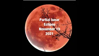 Full Moon Lunar Eclipse In Taurus  November 19th 2021 Oracle Card Reading