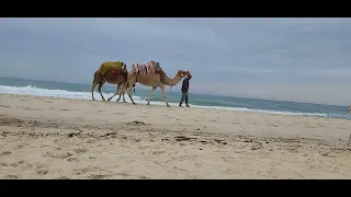 Hammamet Beach, Tunisia September 2022