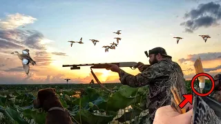 BAND of a Lifetime! Duck Hunting 2022 - DUCK LIMITS and a Band!