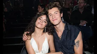 Camila Cabello and Shawn Mendes give fans ultimate holiday surprise