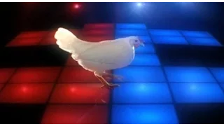 Techno Chicken