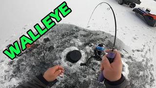 Really Fun Walleye Bite | Ice Fishing