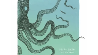 Delta Sleep - Spy Dolphin