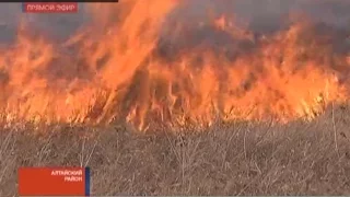 пал сухой травы в Хакасии