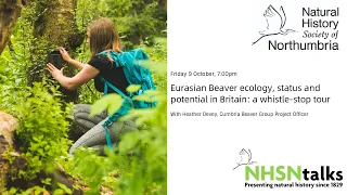Beaver ecology, status and potential in Britain: a whistle-stop tour