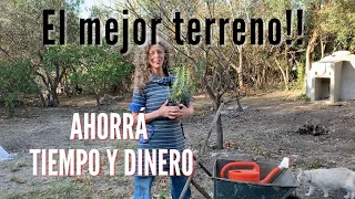 El mejor terreno para vos. Diseñá tu espacio y un bosque comestible. #permacultura #TRASLASIERRA