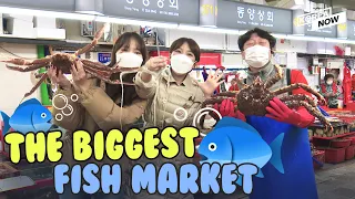 Visit S. Korea's largest fish market and enjoy 20 different kinds of seafoods on the spot