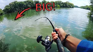 Most People Don't Know They Can Catch BIG Fish This Way...