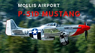 P-51D Mustang take off and landing at Mollis airport HD | D-FPSI