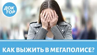 Как выжить в мегаполисе: советы эксперта