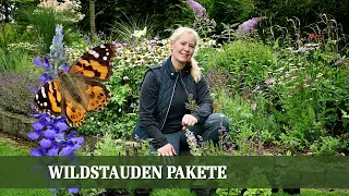 Wild und wunderbar - Nachhaltige Wildstauden Pakete für jeden Garten