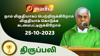 🔴 LIVE 25 OCTOBER  2023 Holy Mass in Tamil 06:00 PM (Evening Mass) | Madha TV