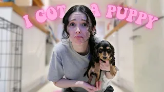 MEET MY NEW PUPPY (DOG DIARIES EP 1)