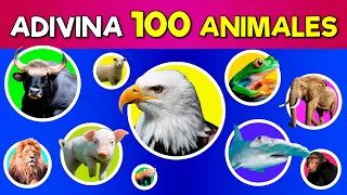 Adivina estos 100 ANIMALES 🐮🐍🦞 | ¿Cuántos Animales Conoces? 🤓🤓