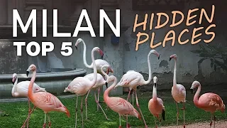 Top 5 Hidden Places in Milan | Italy