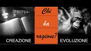 Creazione o evoluzione - chi ha ragione?