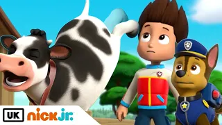 PAW Patrol | Pups Save a Farm | Nick Jr. UK