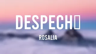 DESPECHÁ - Rosalia (Lyrics Video) 💸