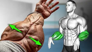 How To Get Stronger Forearms (5 Effective Exercises)