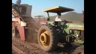 PURO CACAHUATE EN CERRO AGUDO