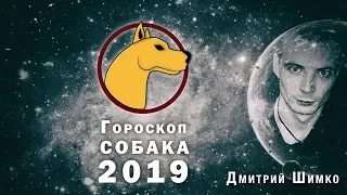 Гороскоп Собака -2019. Астротиполог, Нумеролог - Дмитрий Шимко