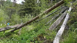 Block and tackle log pulling