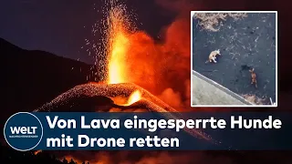 VULKAN ZEIGT GIGANTISCHE KRÄFTE: Drohnen sollen Hundes aus Lavahölle von La Palma retten
