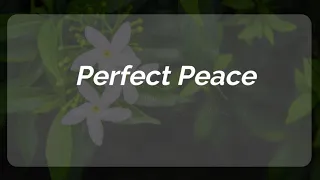 Perfect Peace │ Piano │ Accompaniment With Lyrics