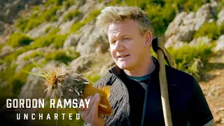 Foraging For Heart Of Palms | Gordon Ramsay: Uncharted