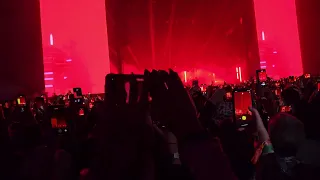 lana del rey outside lands  A&W opening